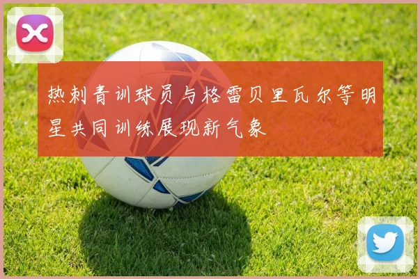 热刺青训球员与格雷贝里瓦尔等明星共同训练展现新气象